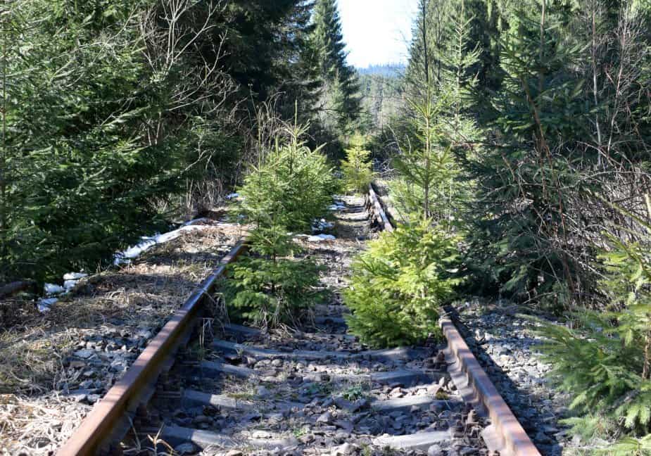 Nature reserve walk near Dracula Castel Hotel