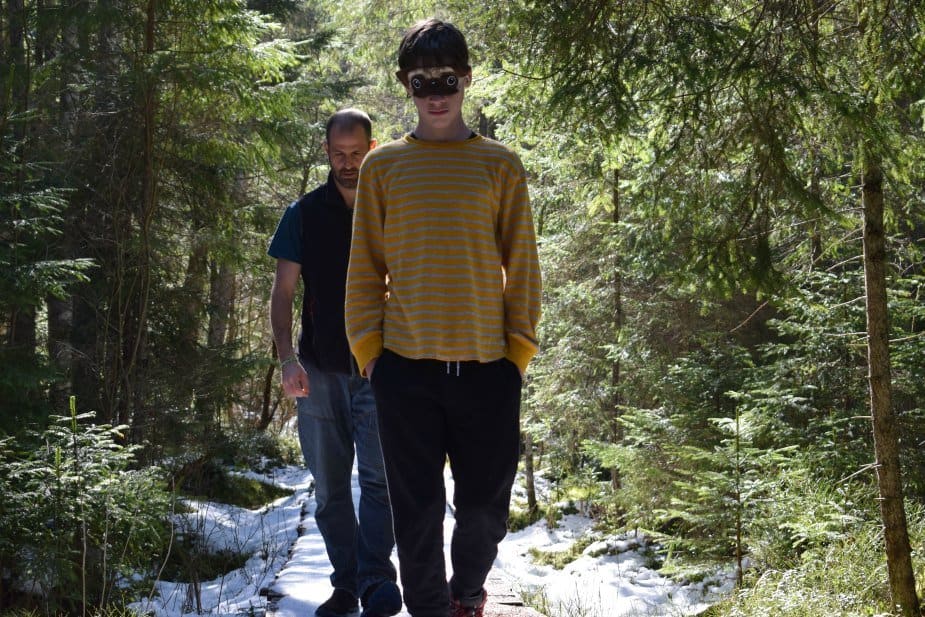 Walking in the woods in transylvania