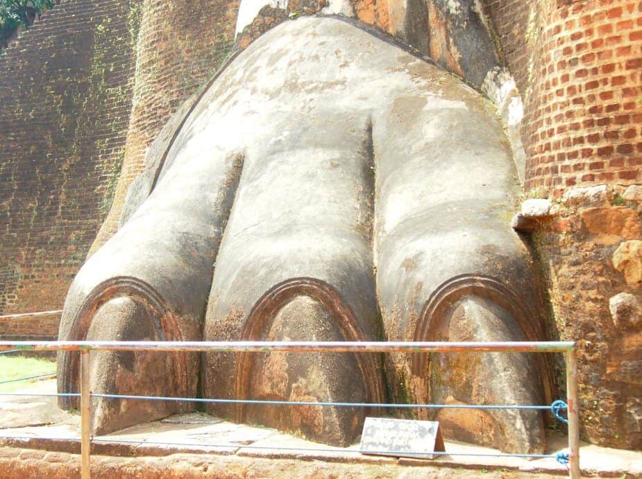 lion paws sigiriya rock sri lanka