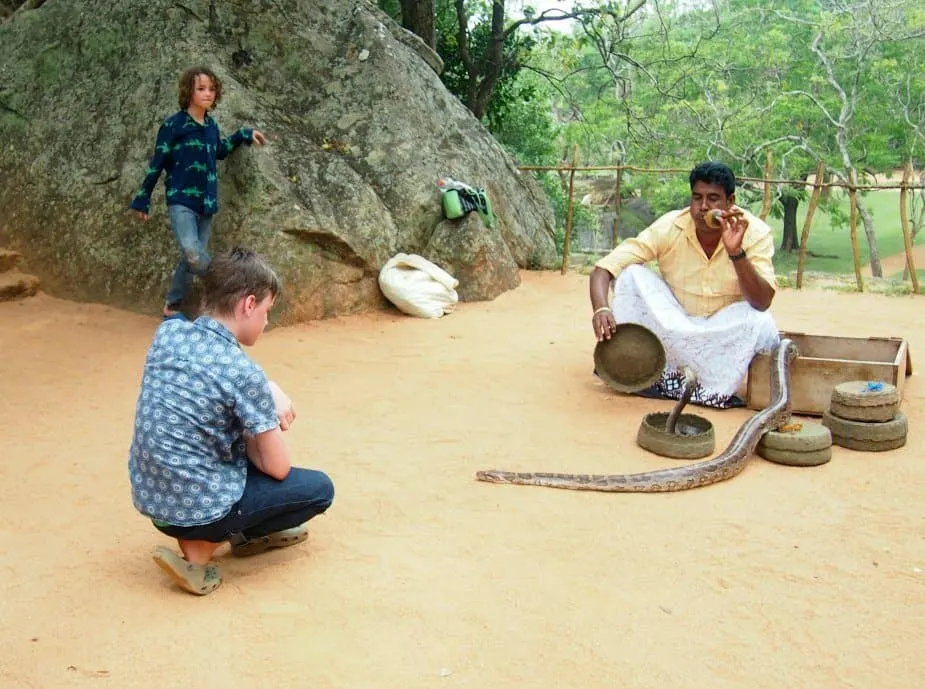 sigiriya with kids sri lanka snake