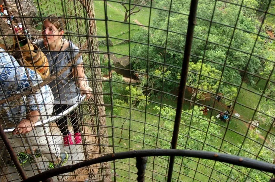 Spiral staircase Sigiriya Sri Lanka with kids