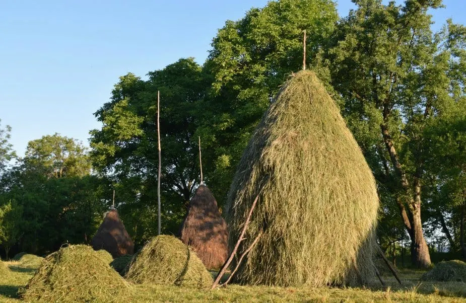 Haystacks of Maramures