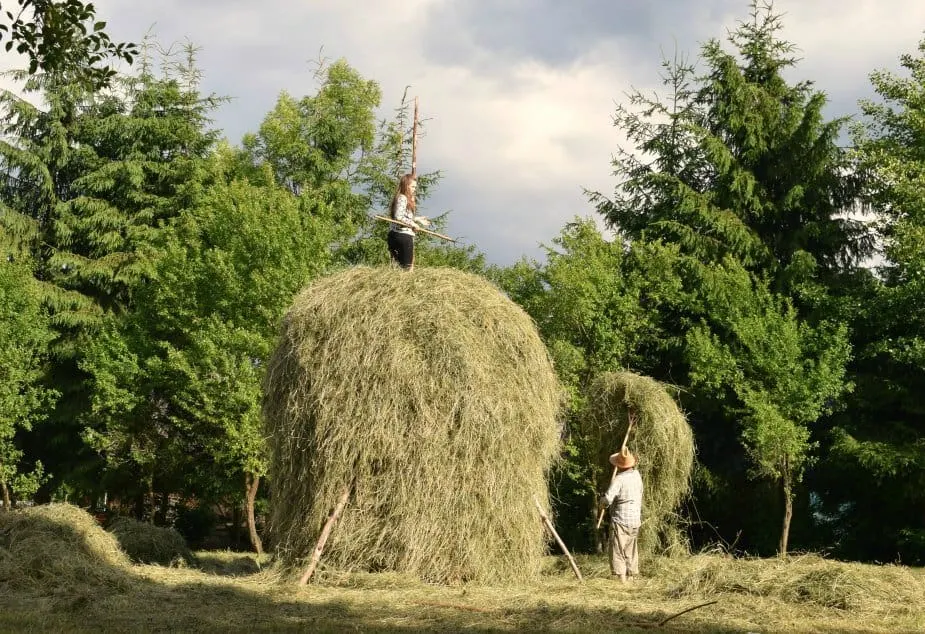 Woman on a haystack Romania Maramures
