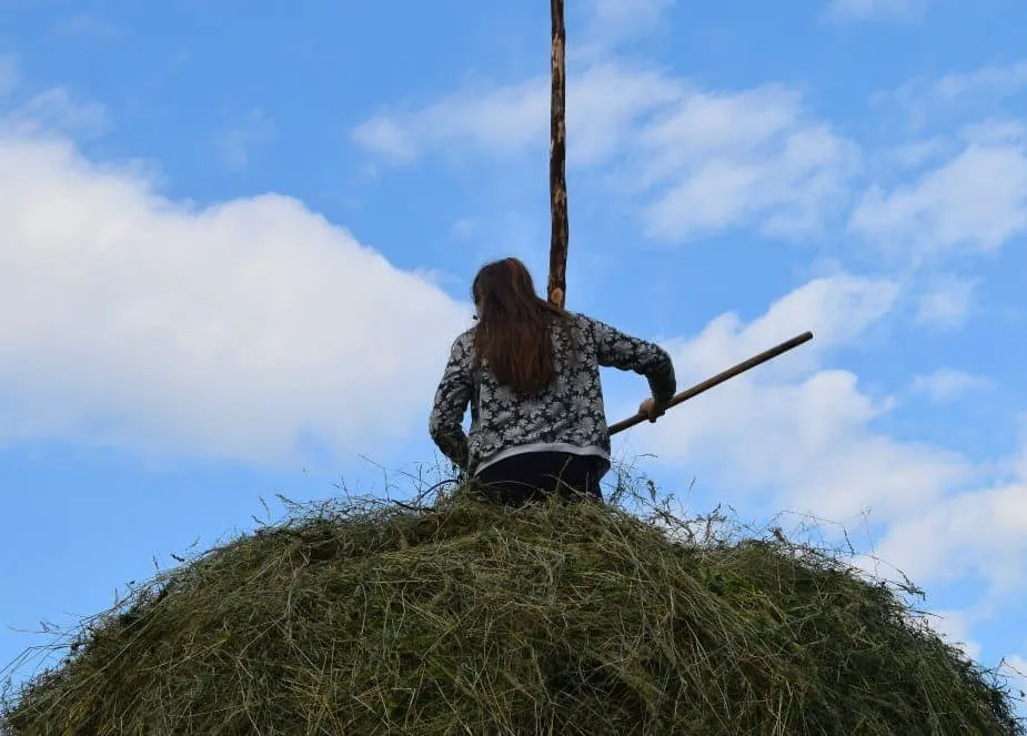 lady on top of a haystack maramures romania