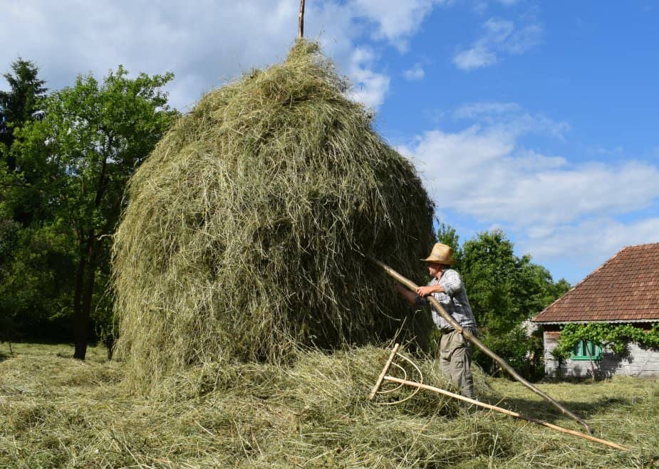 The Haystacks of Maramures. Hay Making in Breb | World Travel Family