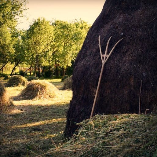 maramures haystack and wooden tools