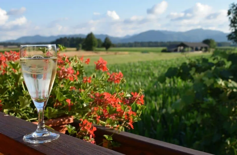 Airbnb Slovenia Dairy Farm