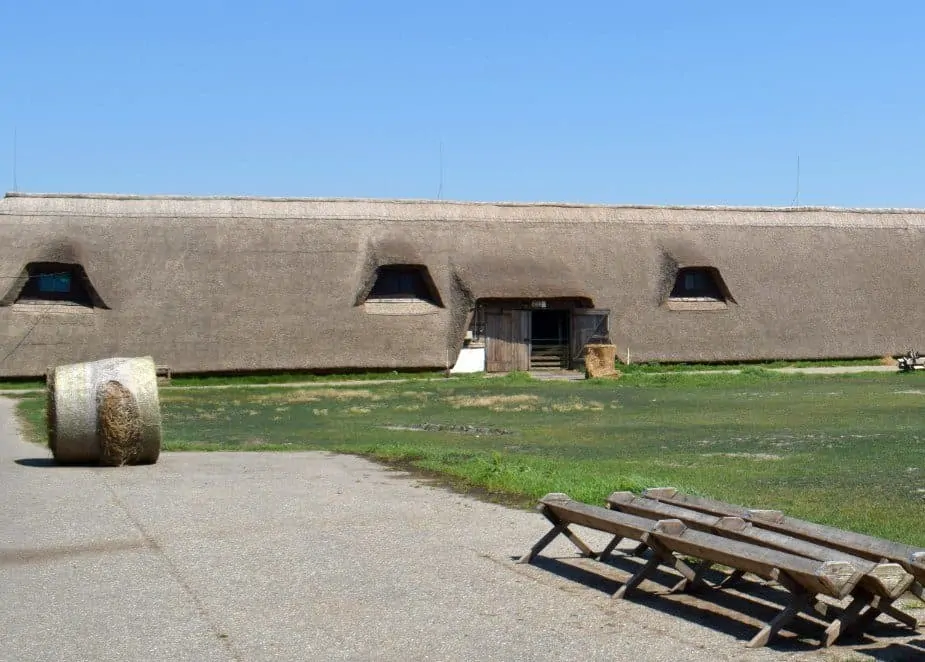  Traditional Hungarian Thatched barns