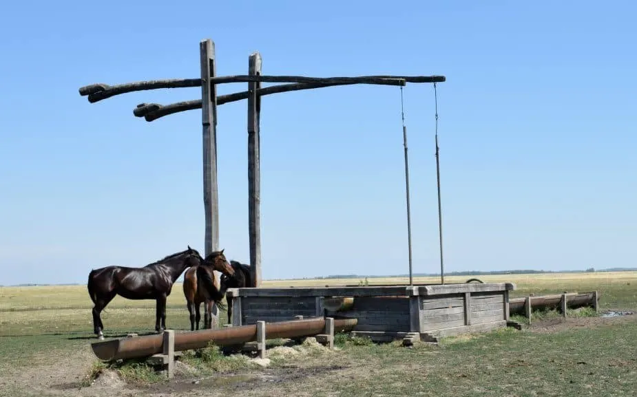 Wells for watering animals Hungary