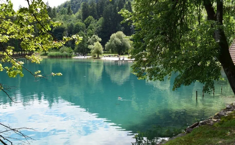 clean water lake bled slovenia