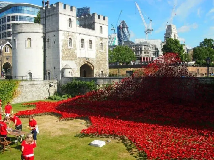 World War 1 poppies Tower of London centenary 2014 