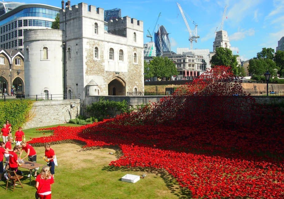 World War 1 poppies Tower of London centenary 2014 