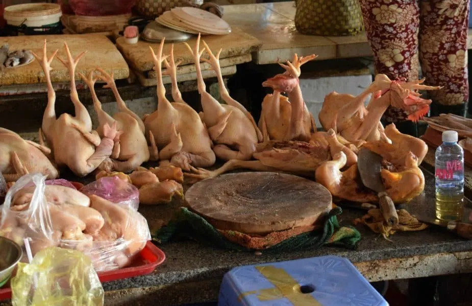 Buying meat hoi an market chicken