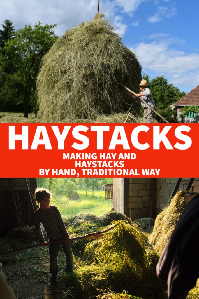 Haystacks and Hay Making. How Traditional Hay Stacks are Made by Hand