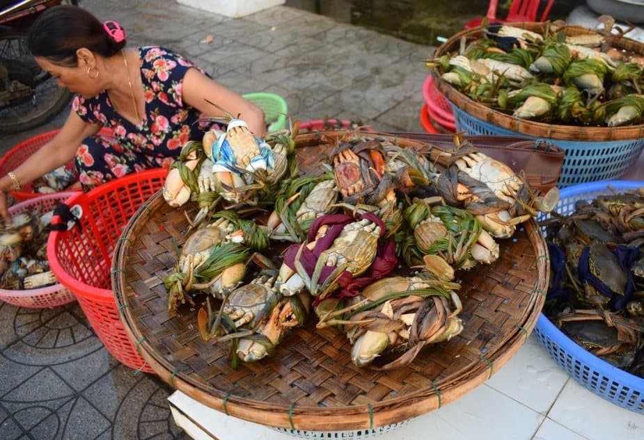 Hoi An Fish Market sorting crabs ( Central Market)