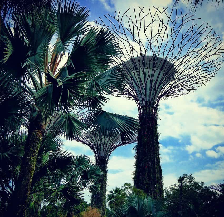 Places to Visit in Singapore. Supertrees. Gardens by the Bay