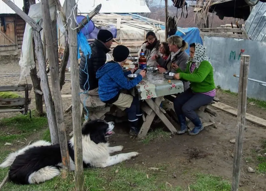 Dinner at the Sheep Station Village Hotel Breb Romanian Shepherd Dog