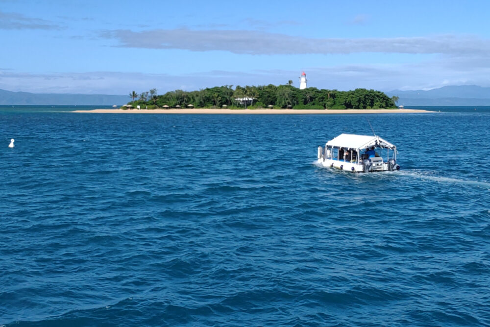 great barrier reef tours from port douglas glass bottom boat