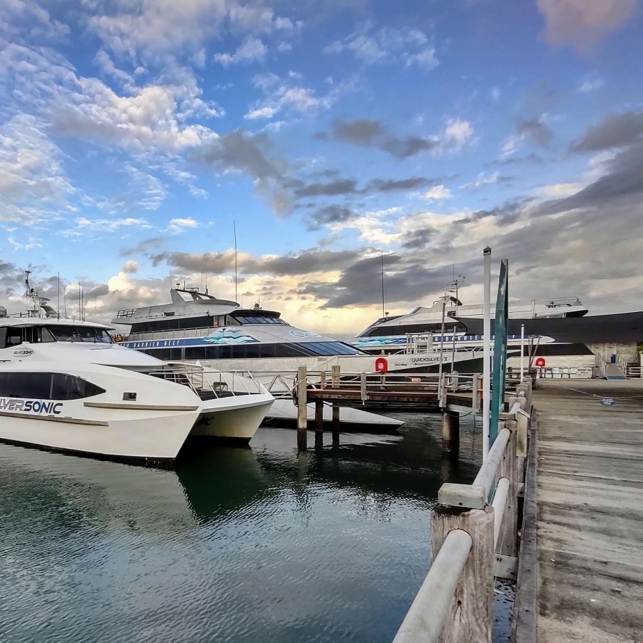 quicksilver port douglas