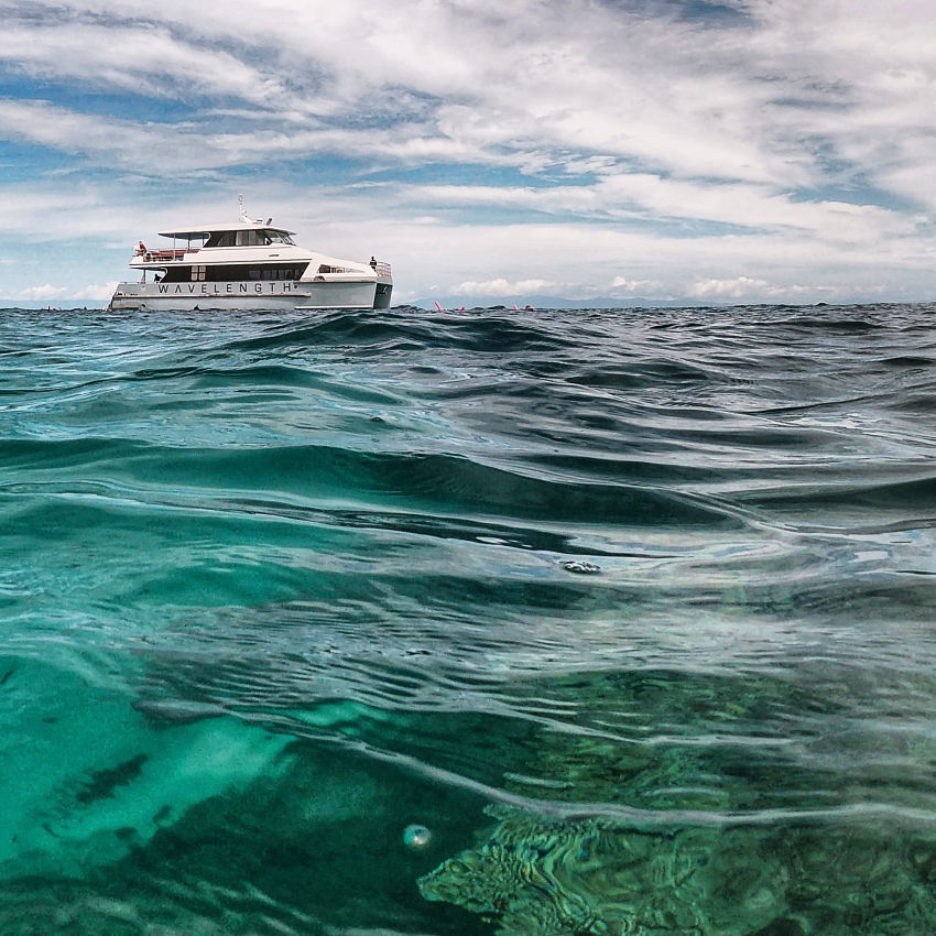  wavelength reef tours from port douglas on the great barrier reef