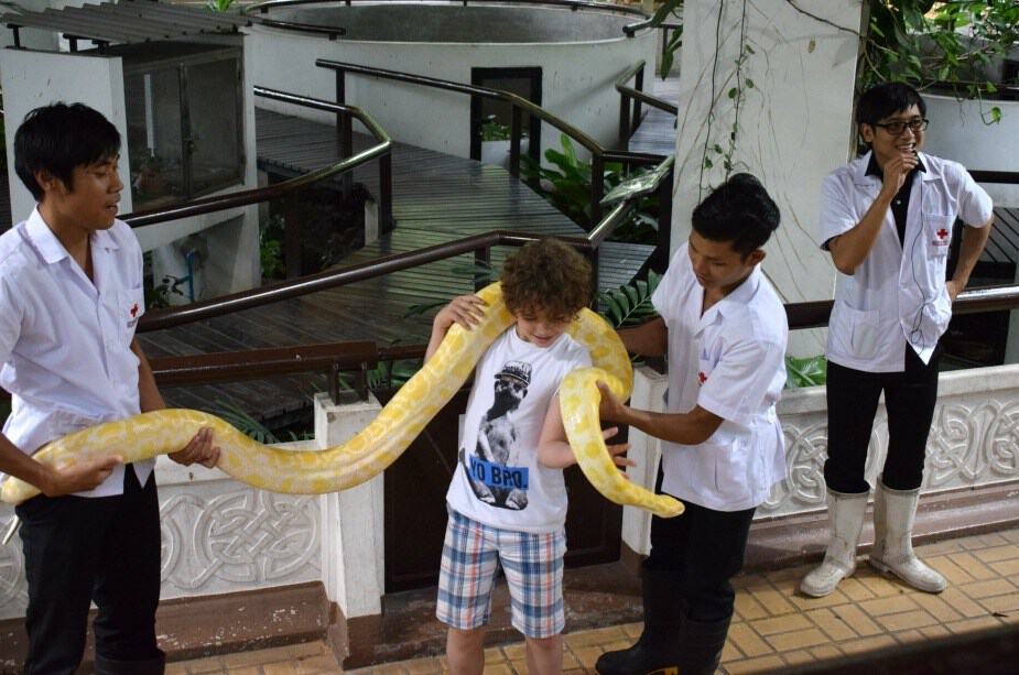 snakes backpacking south east asia