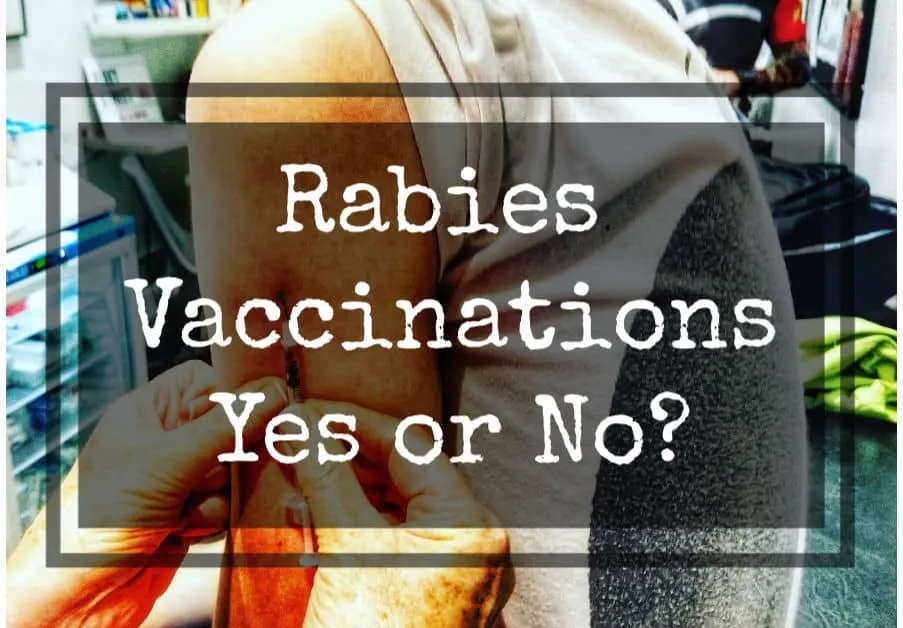 Are rabies vaccinations necessary for travel