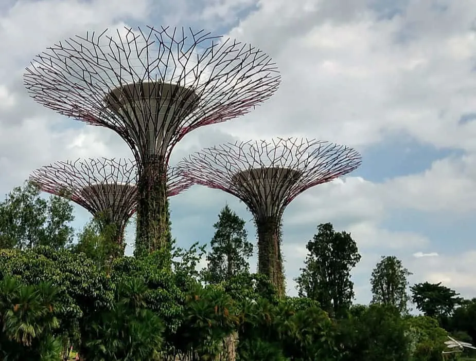 Singapore South East Asia Supertrees