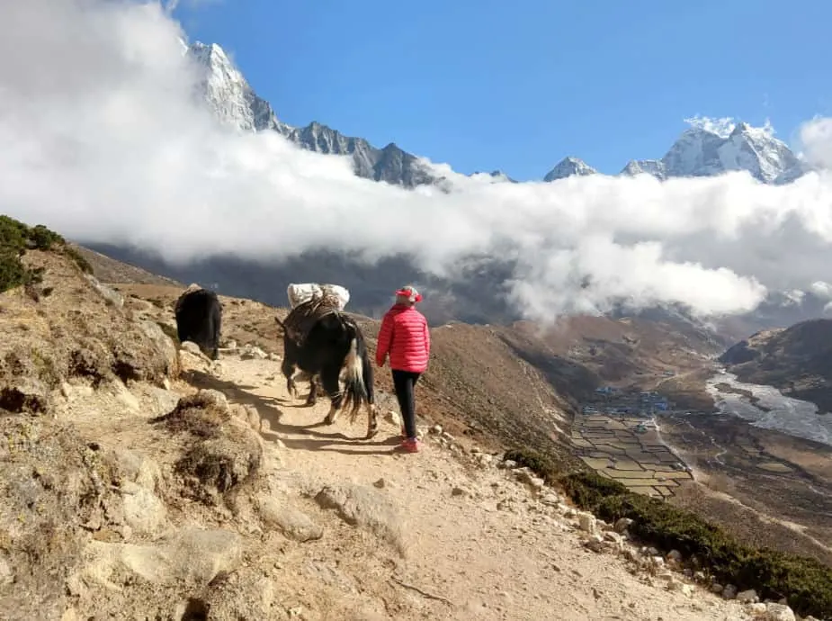 Everest Base Camp Trek Lobuche to Dingboche 