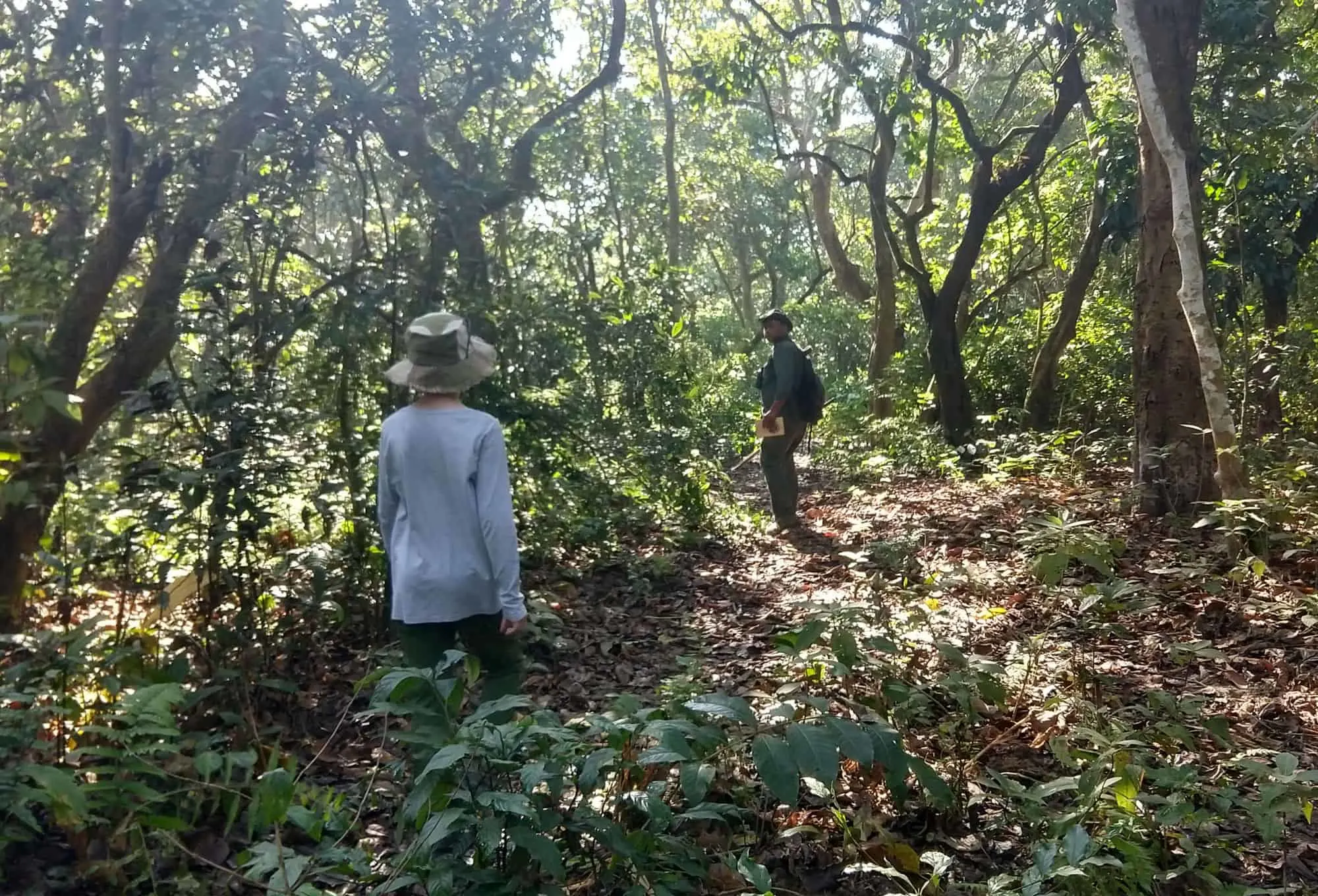 Walking tour in the forest with guide Chitwan