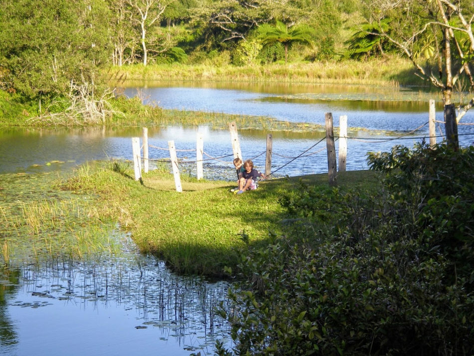 Wildlife Experiences in the Cairns and Port Douglas Area, Platypus Spotting