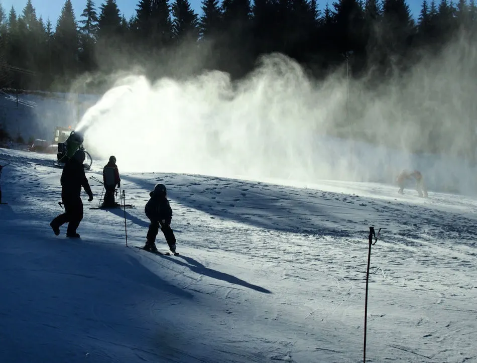 Family Gap Year Ideas Learn to Ski