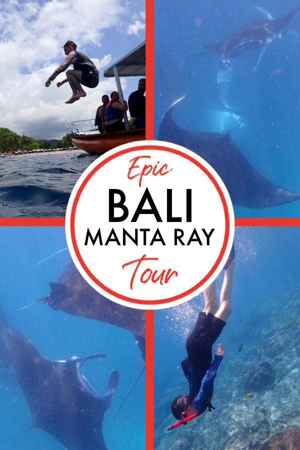 Bali Manta Ray tour