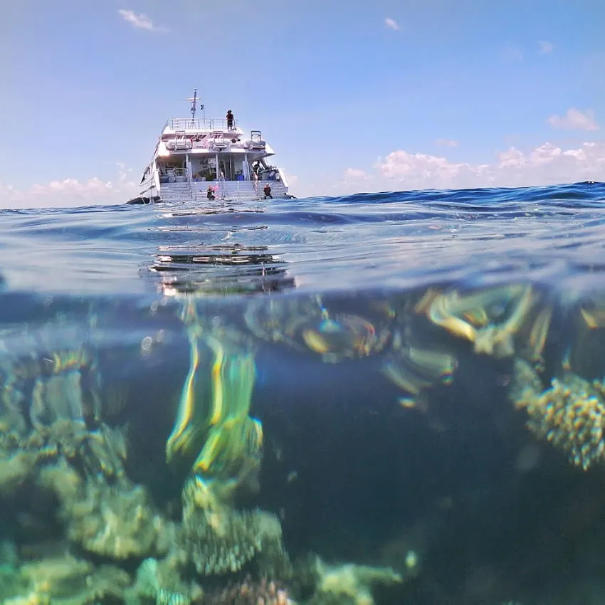 Things to do in Cairns visit the great barrier reef. Coral and Reef Tour Boat
