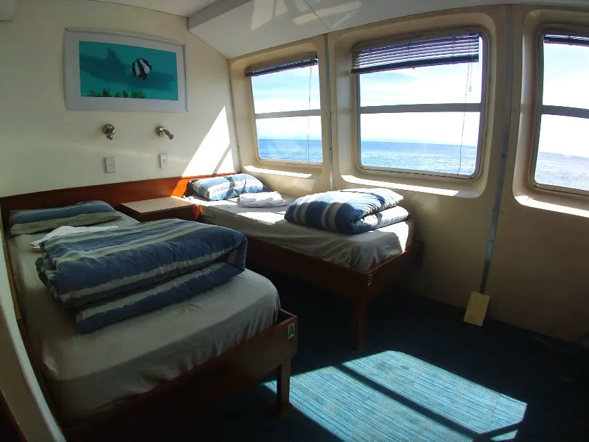 Cabins on ocean quest liveaboard
