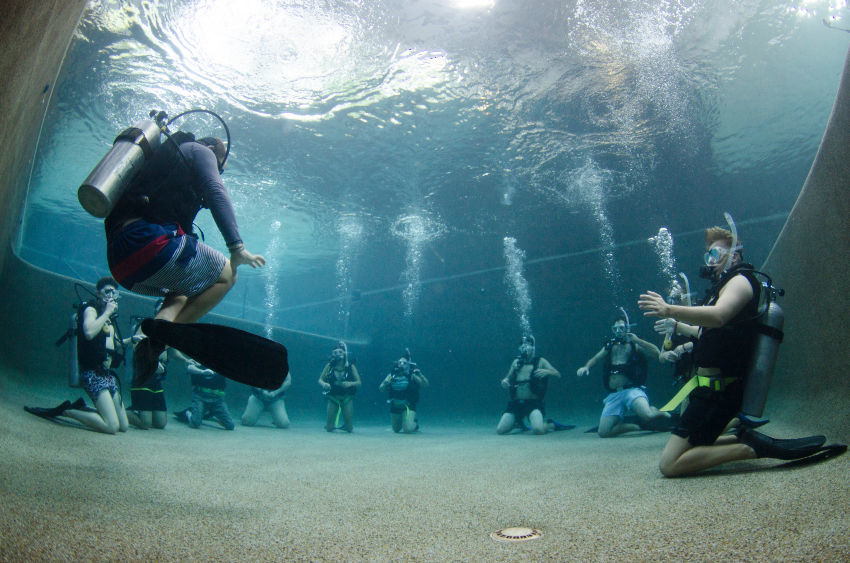 Learning to dive at Divers Den Cairns