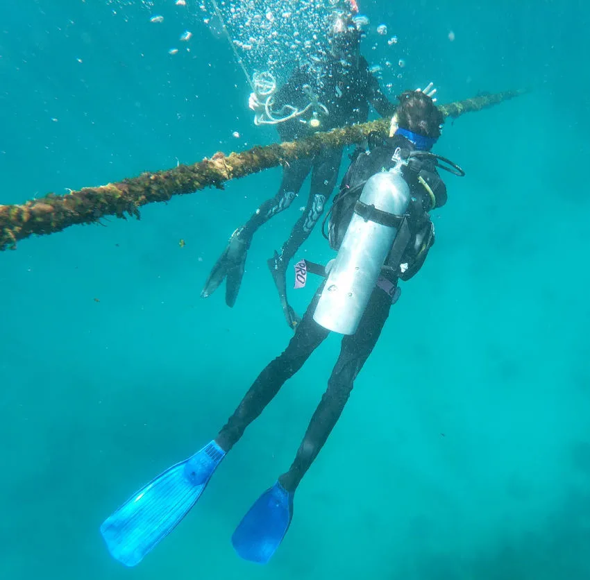 Learning to scuba dive on Reef Quest (1)