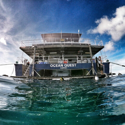 cairns liveaboard