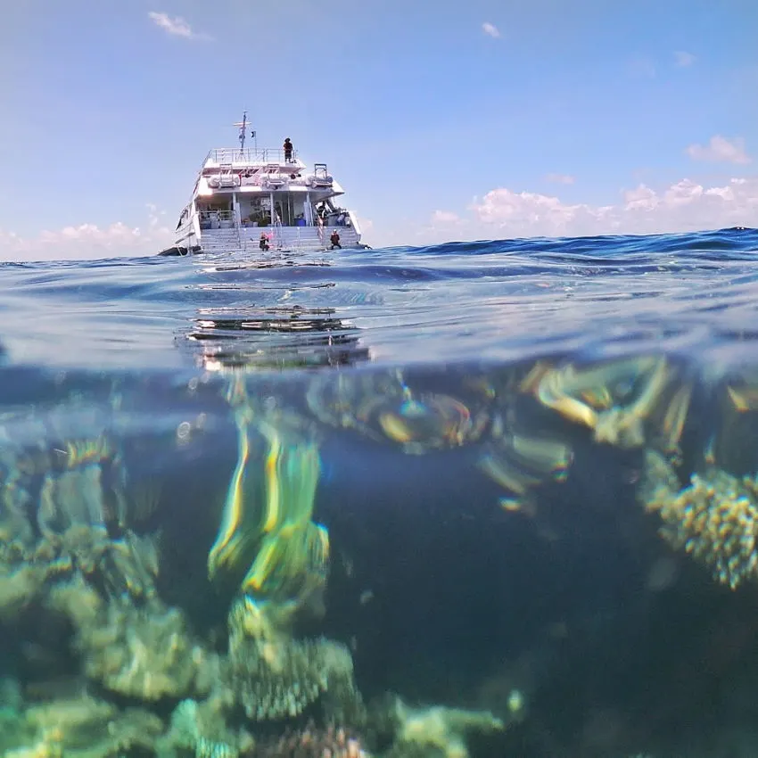 Reef Quest connects to the Ocean Quest Liveaboard Ship from Cairns