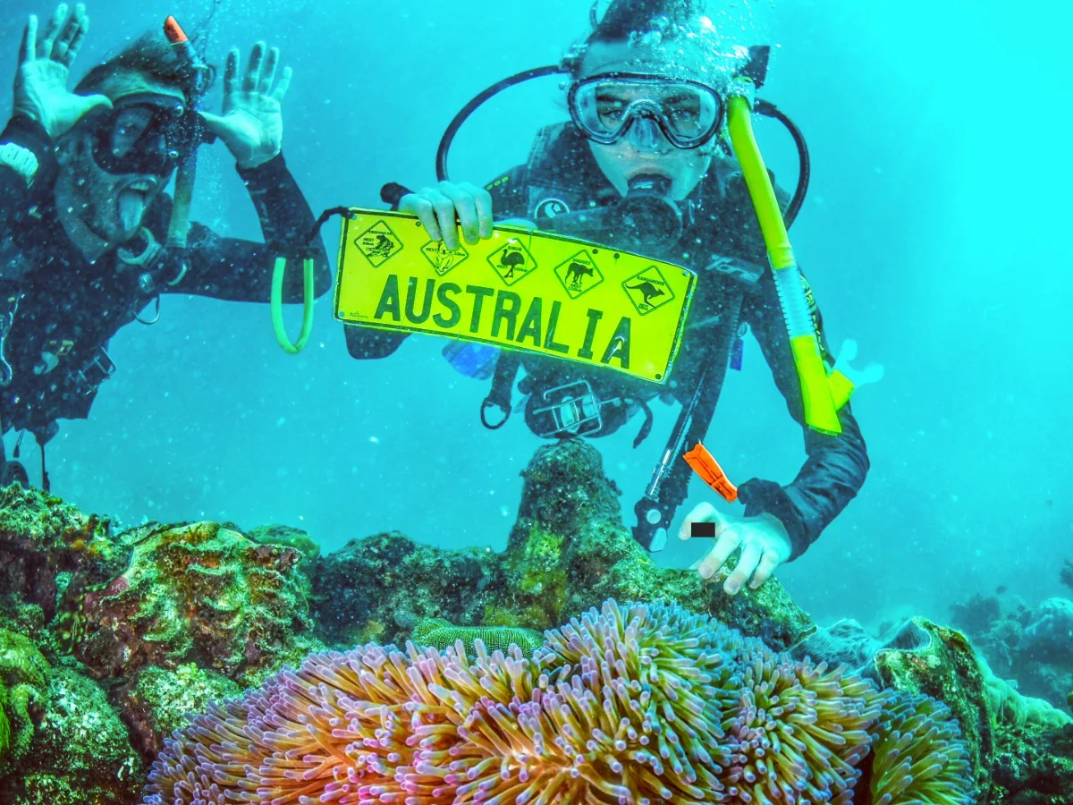 learning to scuba dive in cairns australia