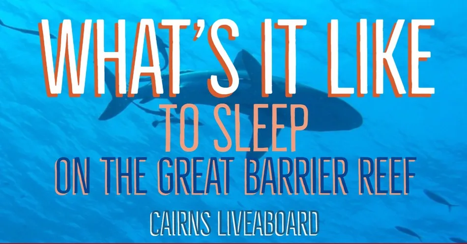 liveaboard cairns liveaboard diving australia