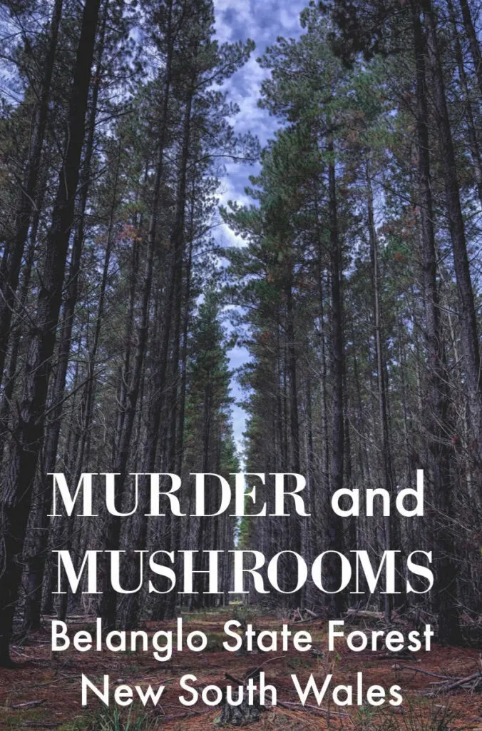 Belanglo State Forest Murder and Mushrooms