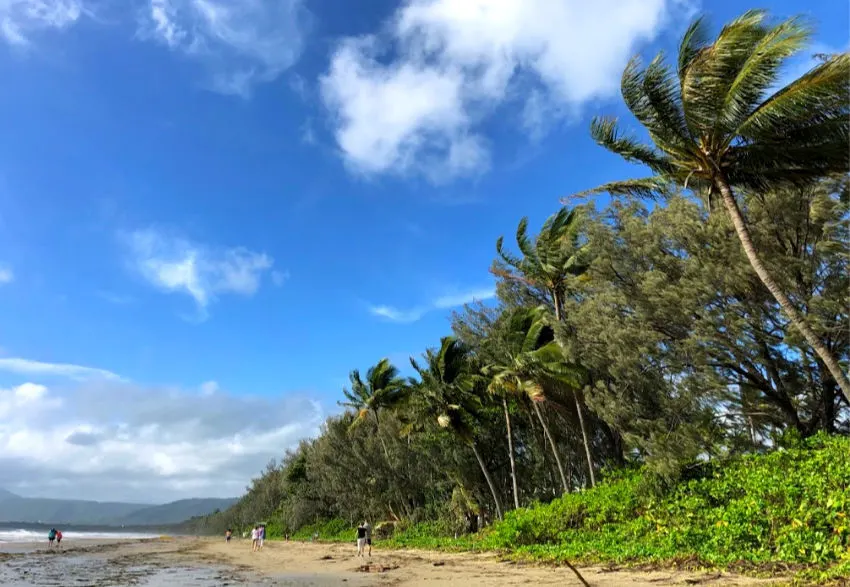 port douglas best time to travel