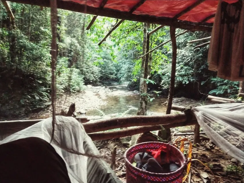 camping jungle borneo homestay