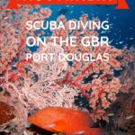 Australia Scuba Diving on the Great Barrier Reef Port Douglas