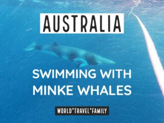 Australia scuba diving swimming with whales