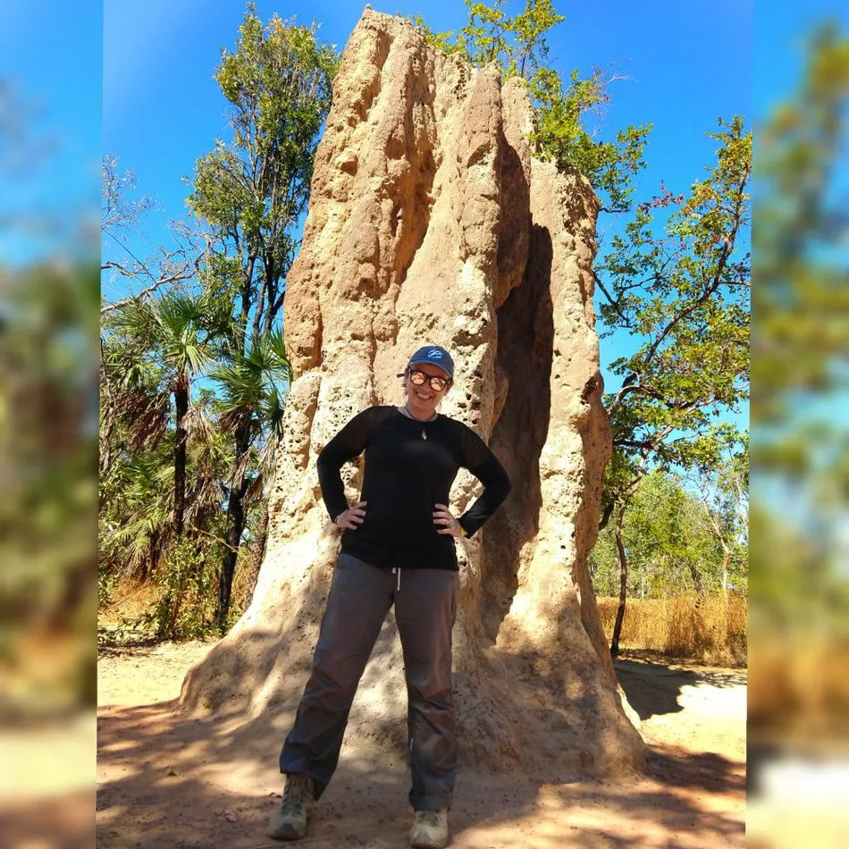 Places to Visit in the Northern Territory Litchfield National Park Termite Mounds