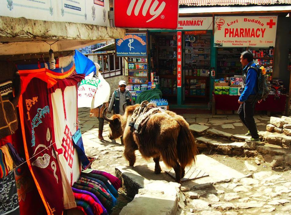 Namche Bazaar Nepal