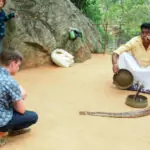 Children watching a snake charmer in sri lanka