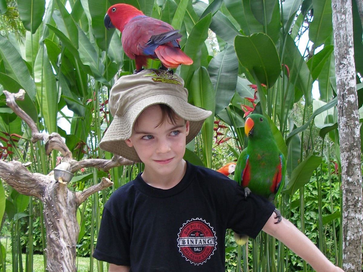 Bali bird park child