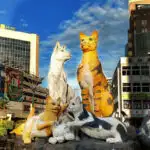 Family of Cats in Cat City Kuching. Statue in modern KuchingCat statues kuching. Things to see in Kuching